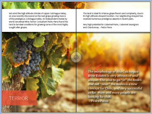 wine brochure