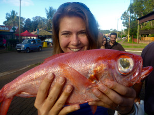 Red Snapper on Easter Island