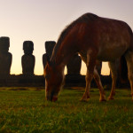 Wild Horses with Rapa Nui Moai on Easter Island at Sunset