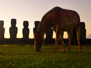 Wild Horses with Rapa Nui Moai on Easter Island at Sunset