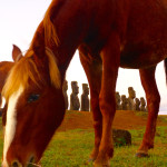 Wild Horses with Rapa Nui Moai on Easter Island at Sunset