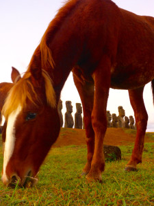 Wild Horses with Rapa Nui Moai on Easter Island at Sunset