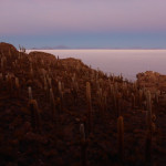 Cactus Island, Uyuni Slat Flats, Bolivia