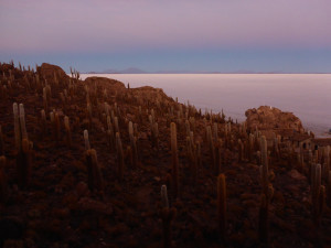 Cactus Island, Uyuni Slat Flats, Bolivia