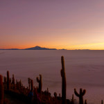 Cactus Island, Uyuni Slat Flats, Bolivia