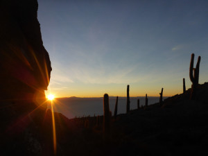 Cactus Island, Uyuni Slat Flats, Bolivia