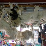 Witches Market, La Paz, Bolivia