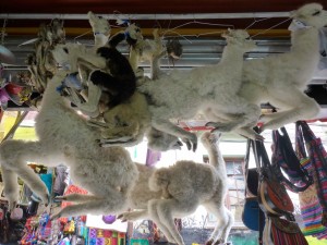 Witches Market, La Paz, Bolivia