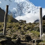 Salcantay Trek to Machu Pichu, Peru