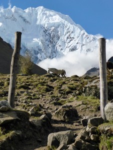 Salcantay Trek to Machu Pichu, Peru