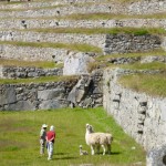 Machu Picchu, Peru