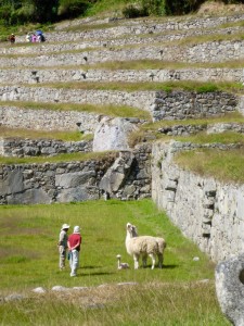 Machu Picchu, Peru