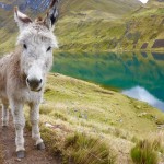 Cordillera Huayhuash, Peru