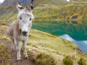 Cordillera Huayhuash, Peru