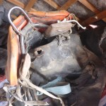 Busted Pack Saddle in Mongolia