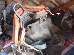 Busted Pack Saddle in Mongolia