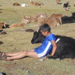 A boy and his goat, Tavan Bodg National Park; Western Mongolia