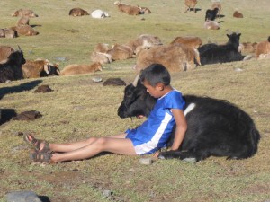 A boy and his goat, Tavan Bodg National Park; Western Mongolia