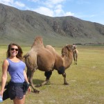 Trying to make friends with a camel